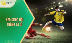 Kèo cược đội thắng là gì?