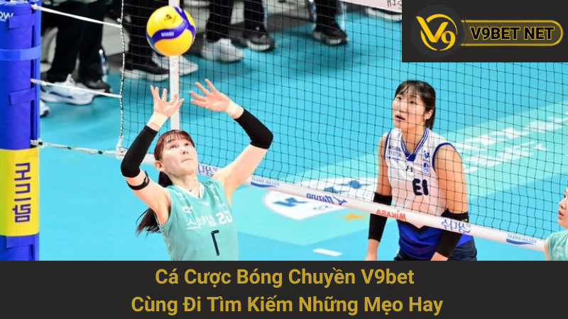 Cá Cược Bóng Chuyền V9bet - Cùng Đi Tìm Kiếm Những Mẹo Hay 1 Cá Cược Bóng Chuyền V9bet - Cùng Đi Tìm Kiếm Những Mẹo Hay